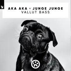 Vallut Bass - Single by AKA AKA & Junge Junge album reviews, ratings, credits