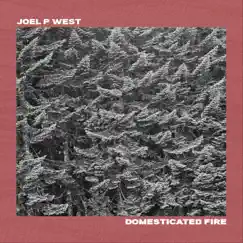 Domesticated Fire - Single by Joel P West album reviews, ratings, credits