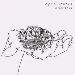 Open Spaces - Single by Ariel Skye album reviews, ratings, credits