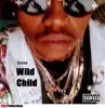 Wild Child album lyrics, reviews, download