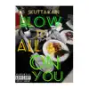 Blow It All on You - Single album lyrics, reviews, download