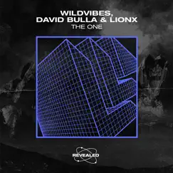 The One (Extended Mix) Song Lyrics