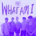What Am I (Casualkimono Remix) - Single album cover