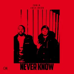 Never Know - Single by Fabio & Joey Brsn album reviews, ratings, credits