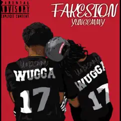 Fakesion - Single by Yungemmy album reviews, ratings, credits