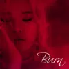 Burn (feat. Skull) - Single album lyrics, reviews, download