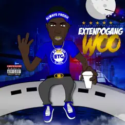 ExtendoGang Woo by Woodatruth album reviews, ratings, credits