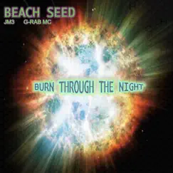 Burn Through the Night (feat. G-Rab MC) - Single by JM3 & Beach Seed album reviews, ratings, credits