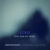 Cold (Find Your Way Home) [feat. Renee Dion & Redd Lettaz] - Single album lyrics, reviews, download