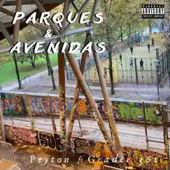 Párques y Avenidas (feat. Grader361) - Single by Peyton Supertramp album reviews, ratings, credits