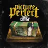 Picture Perfect - Single album lyrics, reviews, download