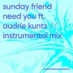 Need You (Instrumental Mix) [feat. Audrie Kuntz] Song Lyrics