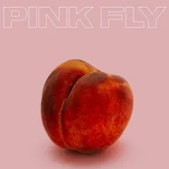 Peachy - Single by Pink Fly album reviews, ratings, credits