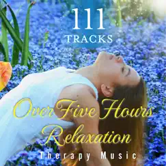 111曲の5時間ヒーリング〜Relaxation Therapy Music〜 by α Healing album reviews, ratings, credits