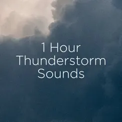 1 Hour Thunderstorm Sounds by Thunderstorm Sound Bank & Thunderstorm Sleep album reviews, ratings, credits