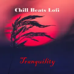 Tranquility (Lofi Beats) [feat. Beats De Rap] by Chill Beats Lofi, Lo-Fi Beats & Pista de Rap album reviews, ratings, credits