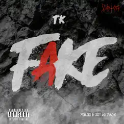 Fake - Single by TK album reviews, ratings, credits