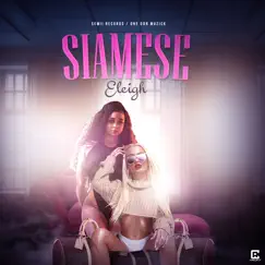 Siamese - Single by Eleigh album reviews, ratings, credits