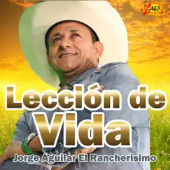 Lección de Vida Song Lyrics