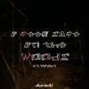 I Feel Safe in the Woods at Night... - Single album lyrics, reviews, download