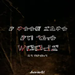 I Feel Safe in the Woods at Night... Song Lyrics