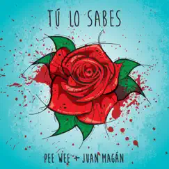 Tú Lo Sabes - Single by PeeWee & Juan Magán album reviews, ratings, credits