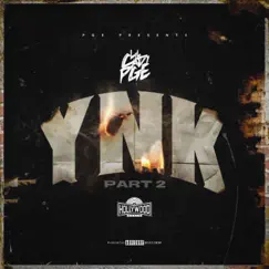 YNK, Pt. 2 (feat. Hollywood Beats) - Single by Lilcadipge album reviews, ratings, credits