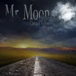 Mr. Moon Song Lyrics