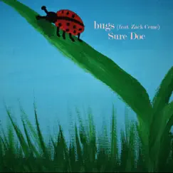 Bugs (feat. Zack Ceme) Song Lyrics