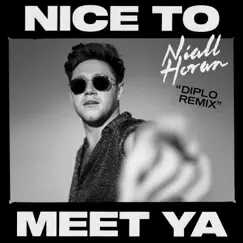 Nice to Meet Ya (Diplo Remix) - Single by Niall Horan & Diplo album reviews, ratings, credits