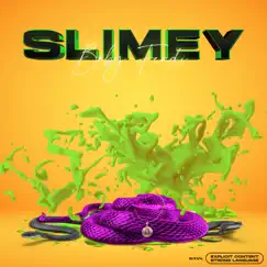 Slimey Song Lyrics