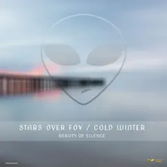 Beauty of Silence - Single by Stars Over Foy & Cold Winter album reviews, ratings, credits