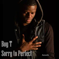 Sorry to Perfect - Single by Boy T album reviews, ratings, credits