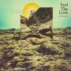Feel the Love - Single by Tim McMorris album reviews, ratings, credits