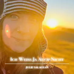 Ich Weiß Ja Auch Nicht - Single by Julie Salagean album reviews, ratings, credits