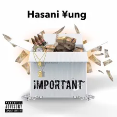 Important - Single by Hasani Yung album reviews, ratings, credits