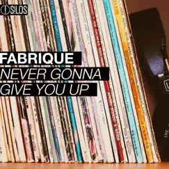 Never Gonna Give You Up (Extended) - Single by Fabrique album reviews, ratings, credits