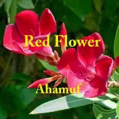 Red Flower Song Lyrics
