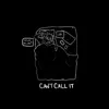Can't Call It (feat. MUZE) - Single album lyrics, reviews, download