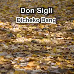 Dicheko Bang - Single by Don Sigli album reviews, ratings, credits