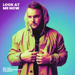 Look At Me Now (feat. Steven Malcolm & nobigdyl) Song Lyrics