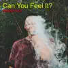 Can You Feel It? - Single album lyrics, reviews, download
