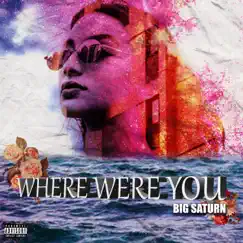 Where Were You - Single by Big Saturn album reviews, ratings, credits