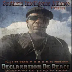 Declaration of Peace (feat. Flxmn, C.A.R.A.G & Drugz) Song Lyrics