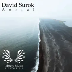 Aeria - Single by David Surok album reviews, ratings, credits