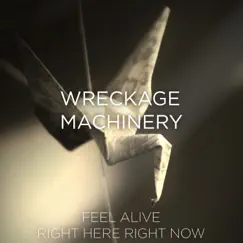 Feel Alive - Single by Wreckage Machinery album reviews, ratings, credits
