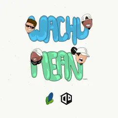 Wachu Mean (feat. LIV inbtwn, Mirz & Dri) - Single by Producerdlo album reviews, ratings, credits