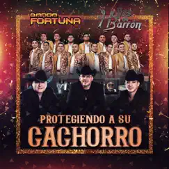Protegiendo A Su Cachorro - Single by Banda Fortuna & Hijos De Barrón album reviews, ratings, credits