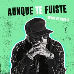 Aunque Te Fuiste Song Lyrics