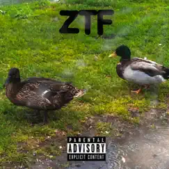 Ztf (feat. Lil Grippie) Song Lyrics